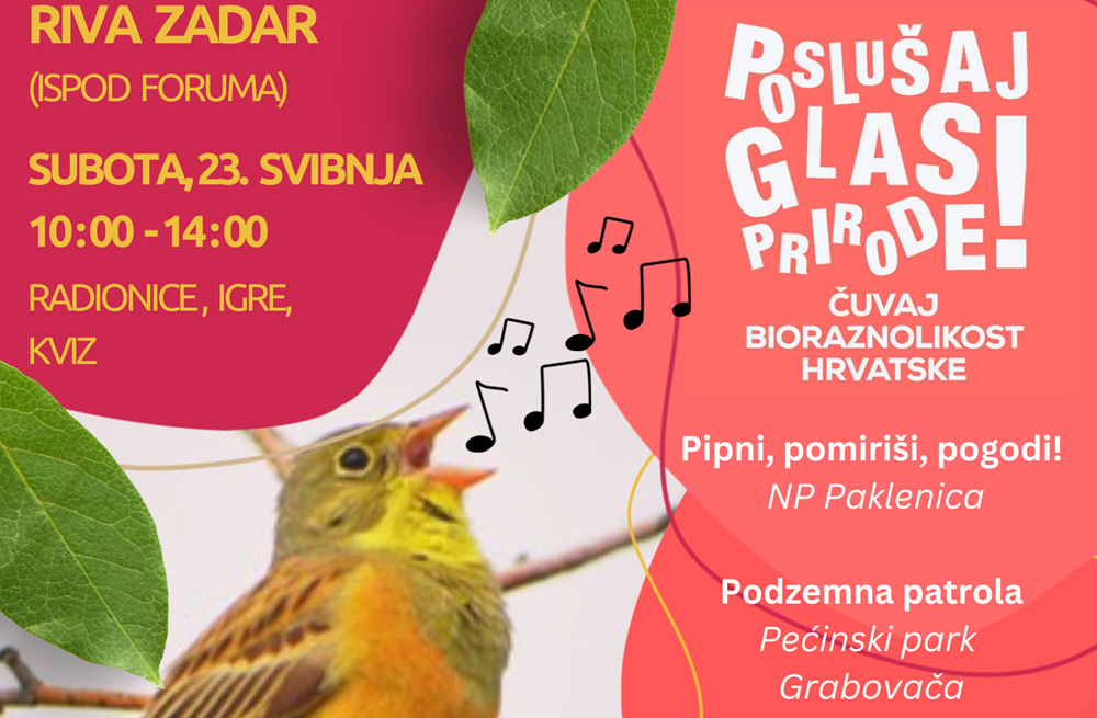 Manifestacija „POSLUŠAJ GLAS PRIRODE“ i ove godine dolazi na zadarsku rivu