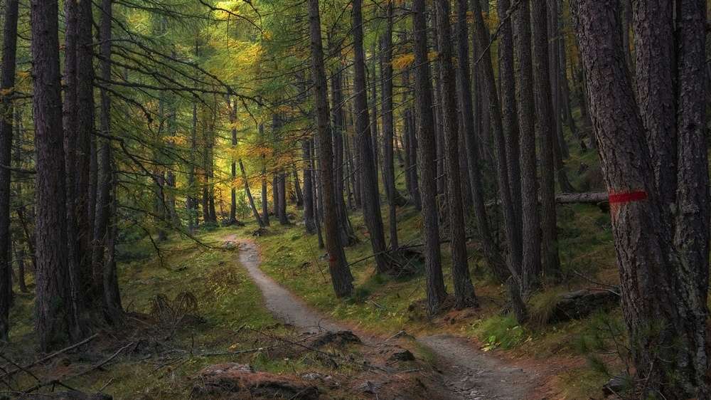 DJEČJA RADIONICA "POTRAGA ZA SKRIVENIM BLAGOM" U subotu povedite djecu i krenite u potragu za blagom u Park-šumi Musapstan