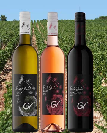 Grgur vinski - vinogradi Punta Skala