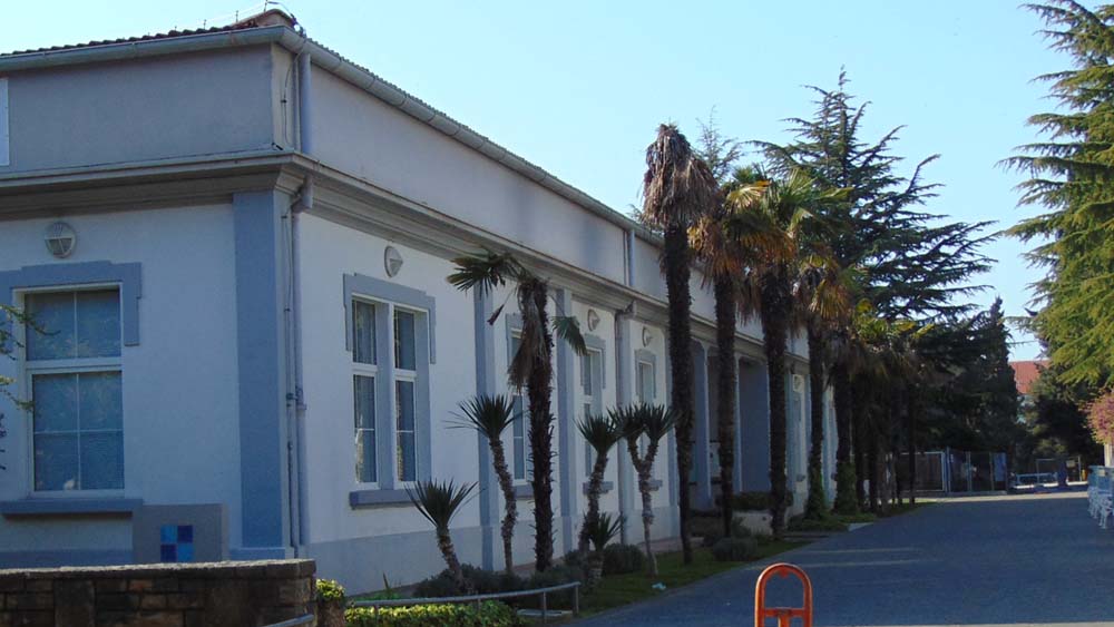 Anketa za novu zgradu Gradske knjižnice Zadar