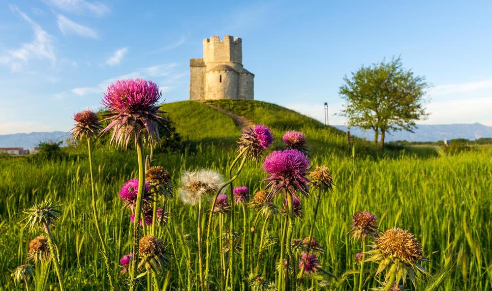 FOTO NATJEČAJ „PRIRODNA BAŠTINA KRALJEVSKOG GRADA“ Odabrano 20 fotografija koje će postati dio stalne izložbe u OŠ „Petar Zoranić“ u Ninu i Vrsima