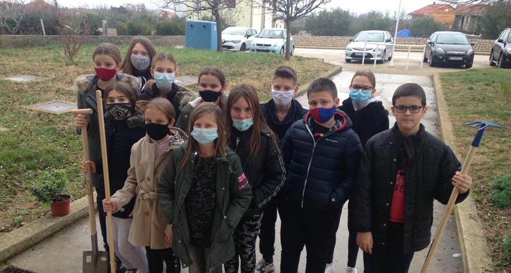 Volonterske aktivnosti u OŠ Petar Zoranić: Oslikani zid, fotografije i biljke za ispraćaj prvog polugodišta