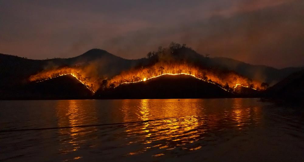 POŽAR NA OTOKU LAVDARA Vatra prijetila kućama, evakuirano 50-ak stanovnika otoka
