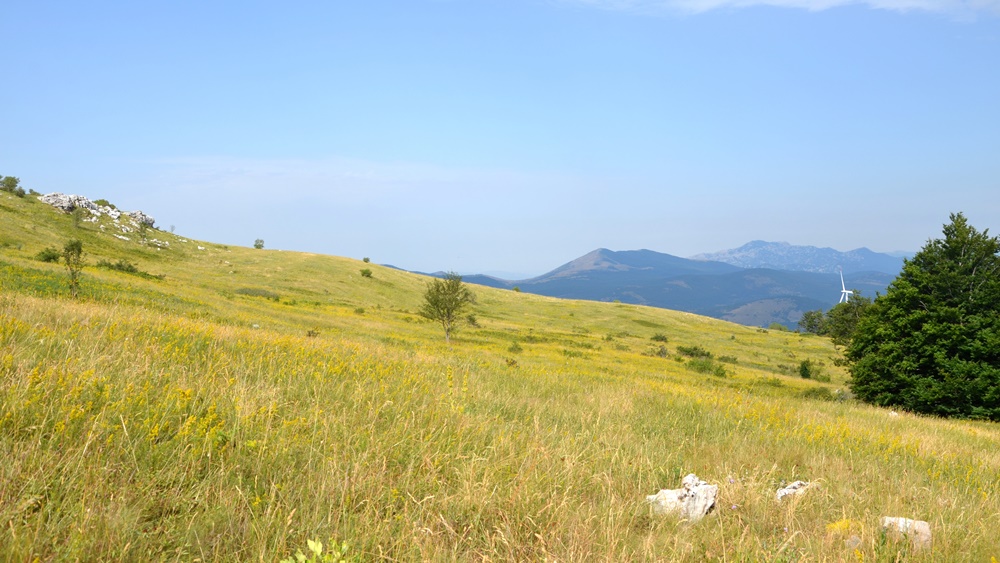 Projekt DINALPCONNECT: Natura-Jadera potiče poboljšanje ekološke povezanosti s Nacionalnim parkom Una