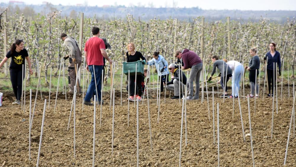 ISKORAK U SURADNJI S AGRONOMSKIM FAKULTETOM Zajednički diplomski studij Mediteranska poljoprivreda od ove jeseni na zadarskom sveučilištu