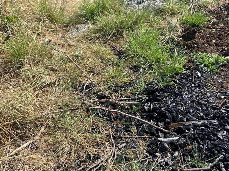 Drage: Osumnjičen za izazivanje požara