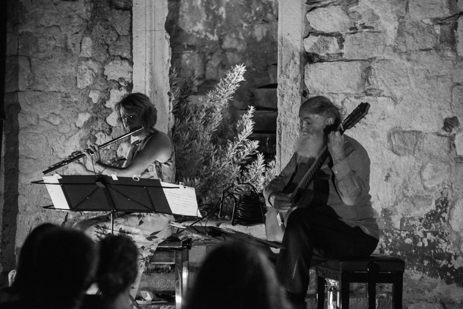PagArtFestival zaključit će koncert Arsena Dalibaltayana 12. kolovoza
