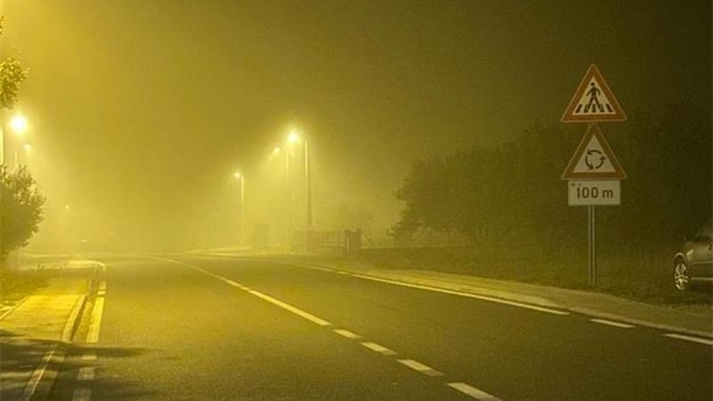 PU ZADARSKA Vozači, pripazite na neočekivanu pojavu divljači!