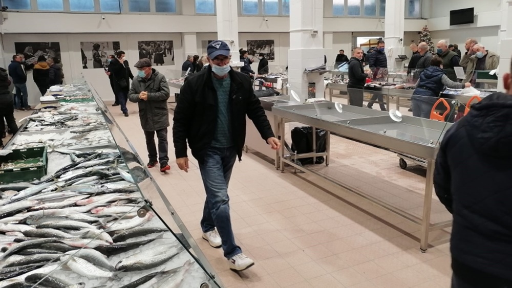 Kroz projekt Adri.SmArtFish postavljen umjetni riblji greben i opremljena zadarska ribarnica