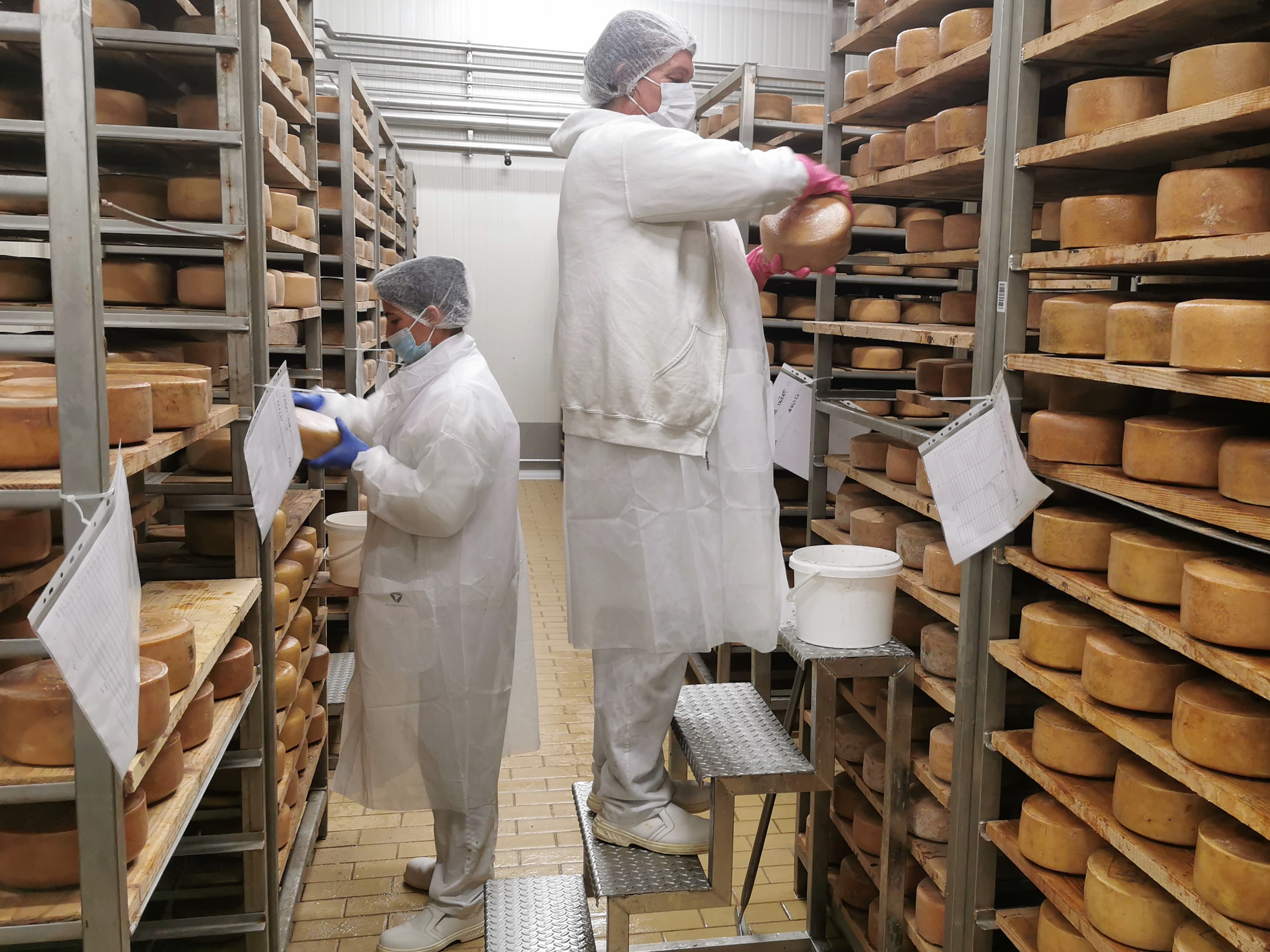 U Zadarskoj županiji u veljači 3700 zaposlenih više nego u pretpandemijskoj 2019. godini