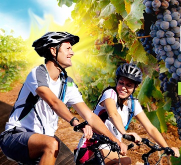 VINSKA BICIKLIJADA U nedjelju u Polači starta Bike&Wine Ravni Kotari Tour