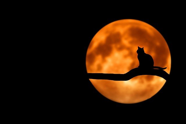 POMRČINA MJESECA Astronomska udruga Zadar poziva građane da im se pridruže u promatranju pomrčine