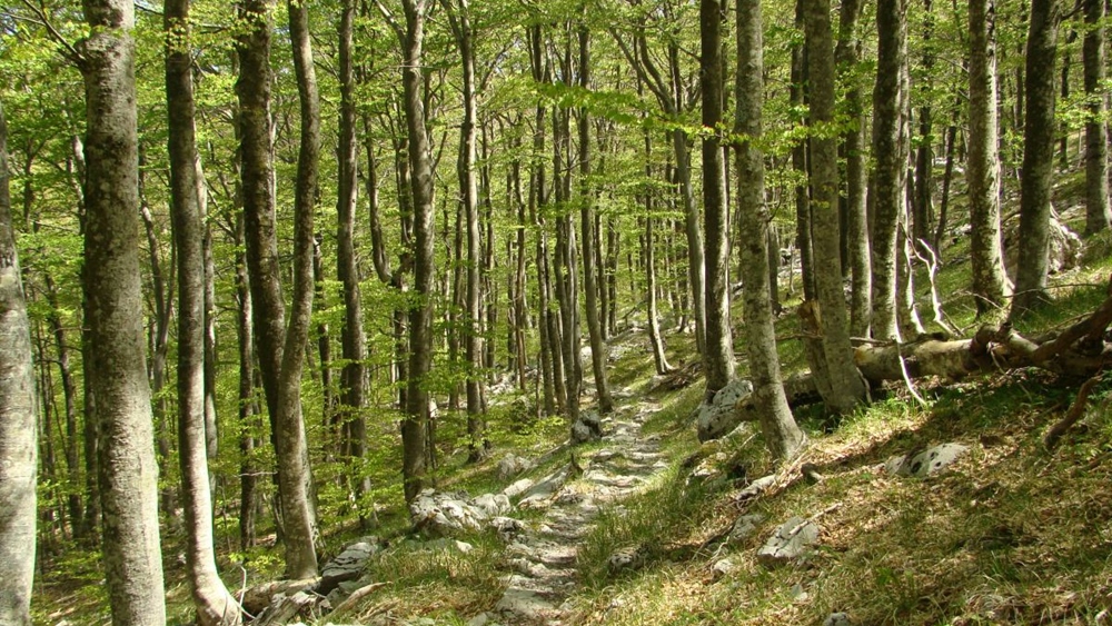 Ravnatelj Parka prirode Velebit zbog kamenoloma traži reakciju inspekcije
