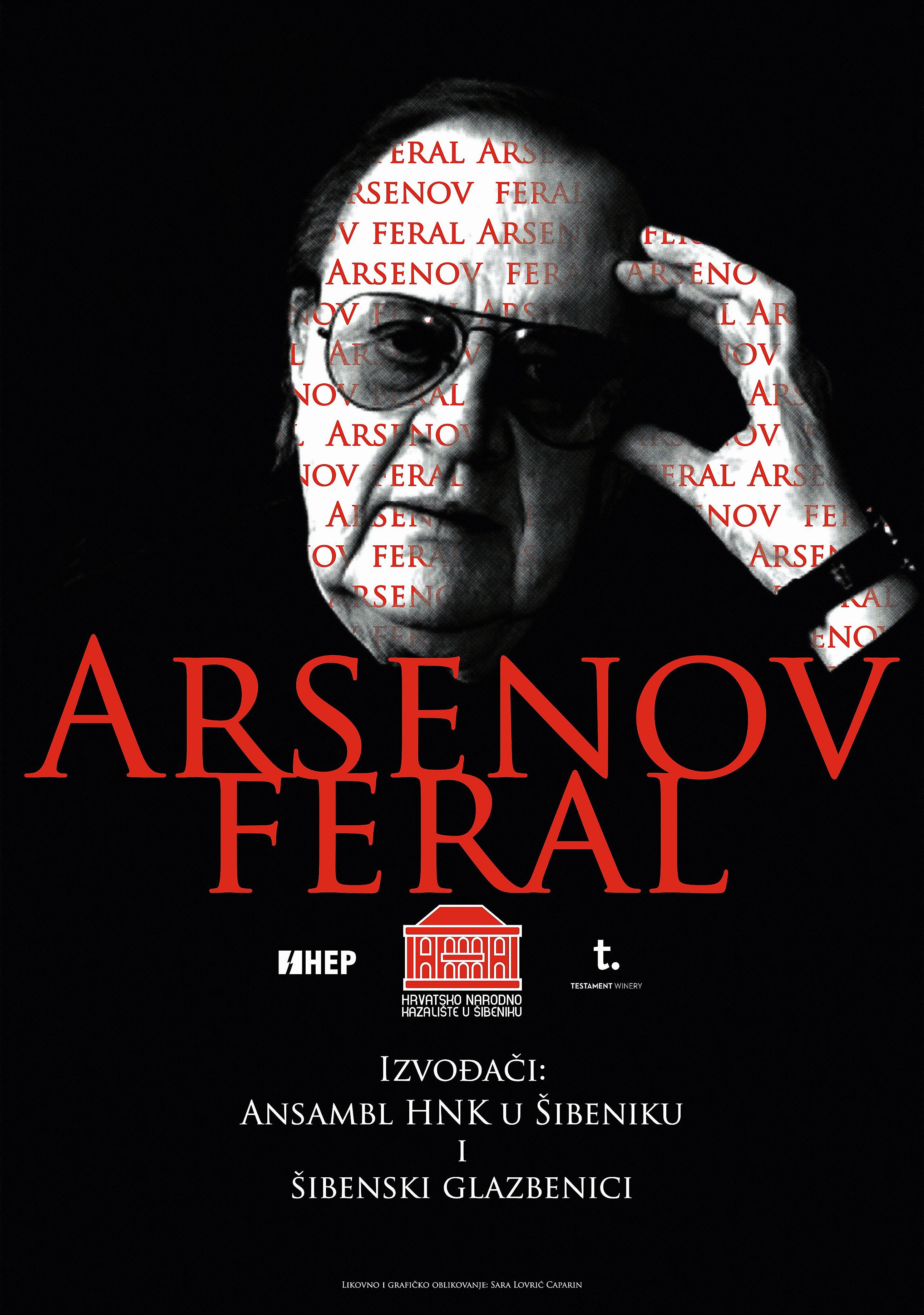 "Arsenov feral" u HNK Zadar 10. siječnja