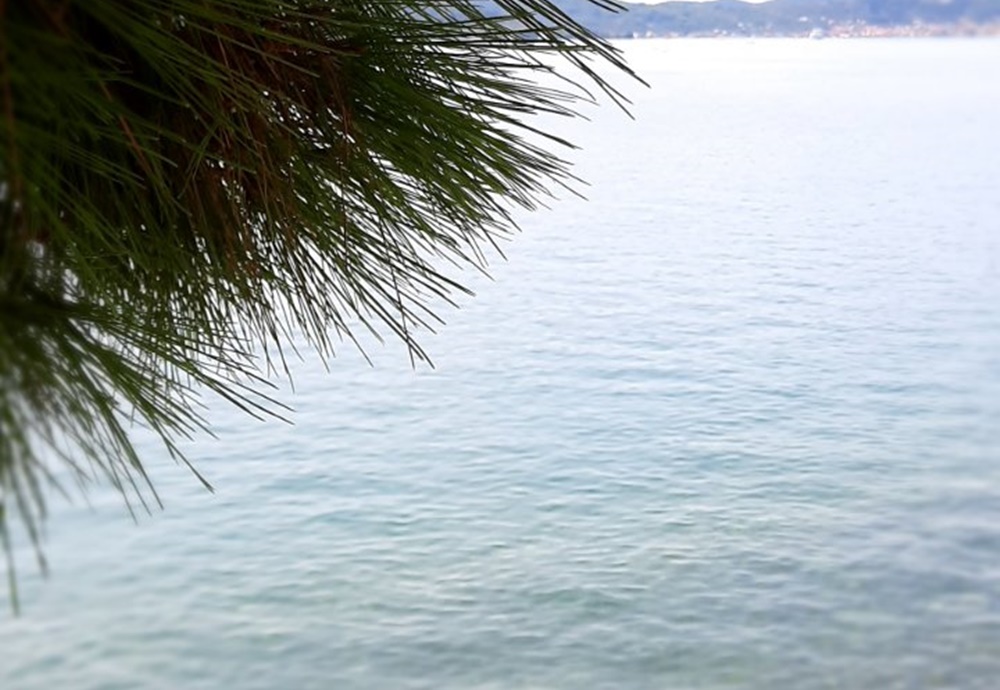 DAN PLANETA ZEMLJE Udružene snage za čišću Punta Bajlo