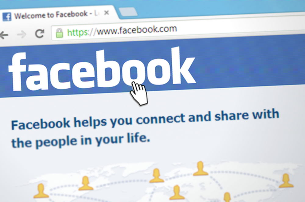PALI FACEBOOK I INSTAGRAM