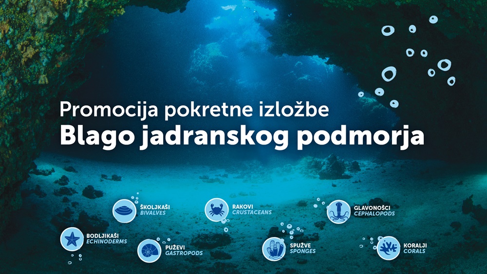 22. SVIBANJ - MEĐUNARODNI DAN BIORAZNOLIKOSTI I HRVATSKI DAN ZAŠTITE PRIRODE U ZADRU
