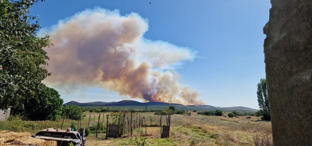 GORI U RADAŠINOVCIMA Požar otvorenog prostora se brzo širi, a gasi ga 30 vatrogasaca