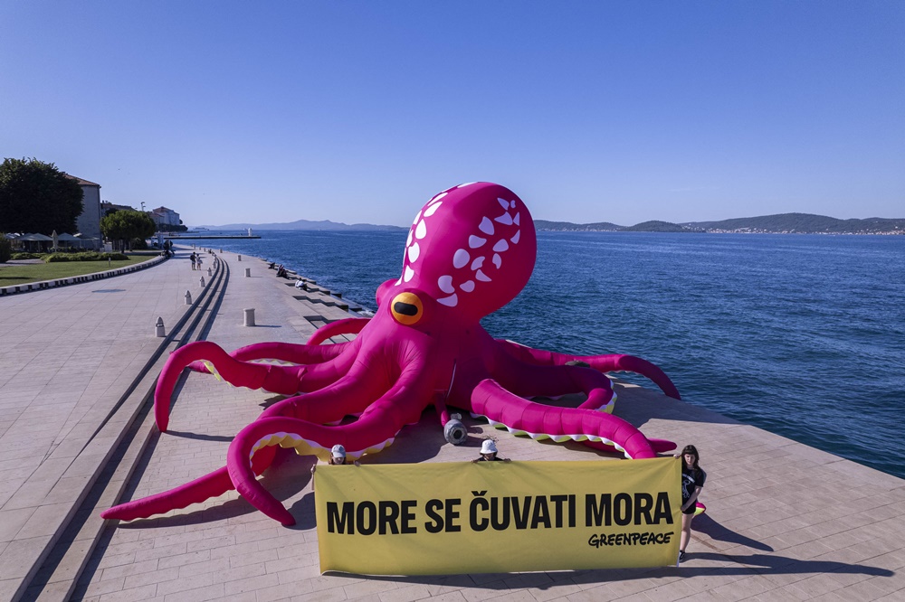 GREENPEACE U ZADRU Divovska hobotnica na zadarskim Morskim orguljama s porukom“More se čuvati mora!”