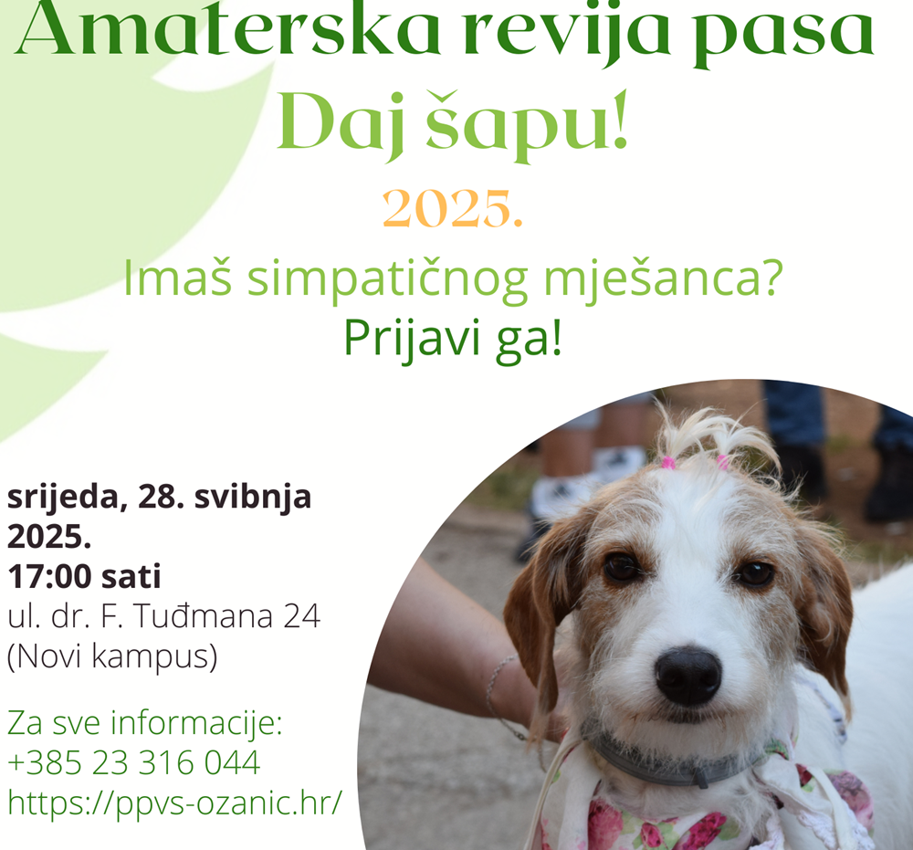 AMATERSKA REVIJA PASA 2025. I ove se godine bira Njuška godine te Miss i Mister Azila