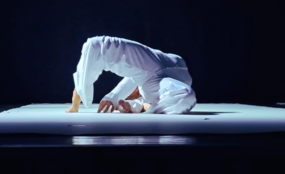 17. Festival suvremenog plesa Monoplay od 20. do 23. kolovoza