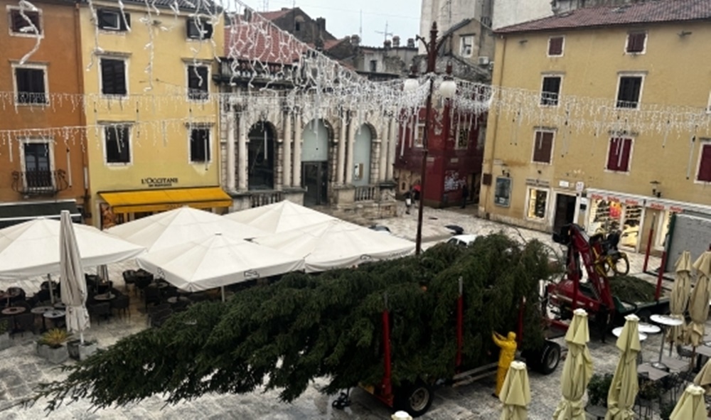 Na Narodni trg stigao 15-metarski bor iz Požege