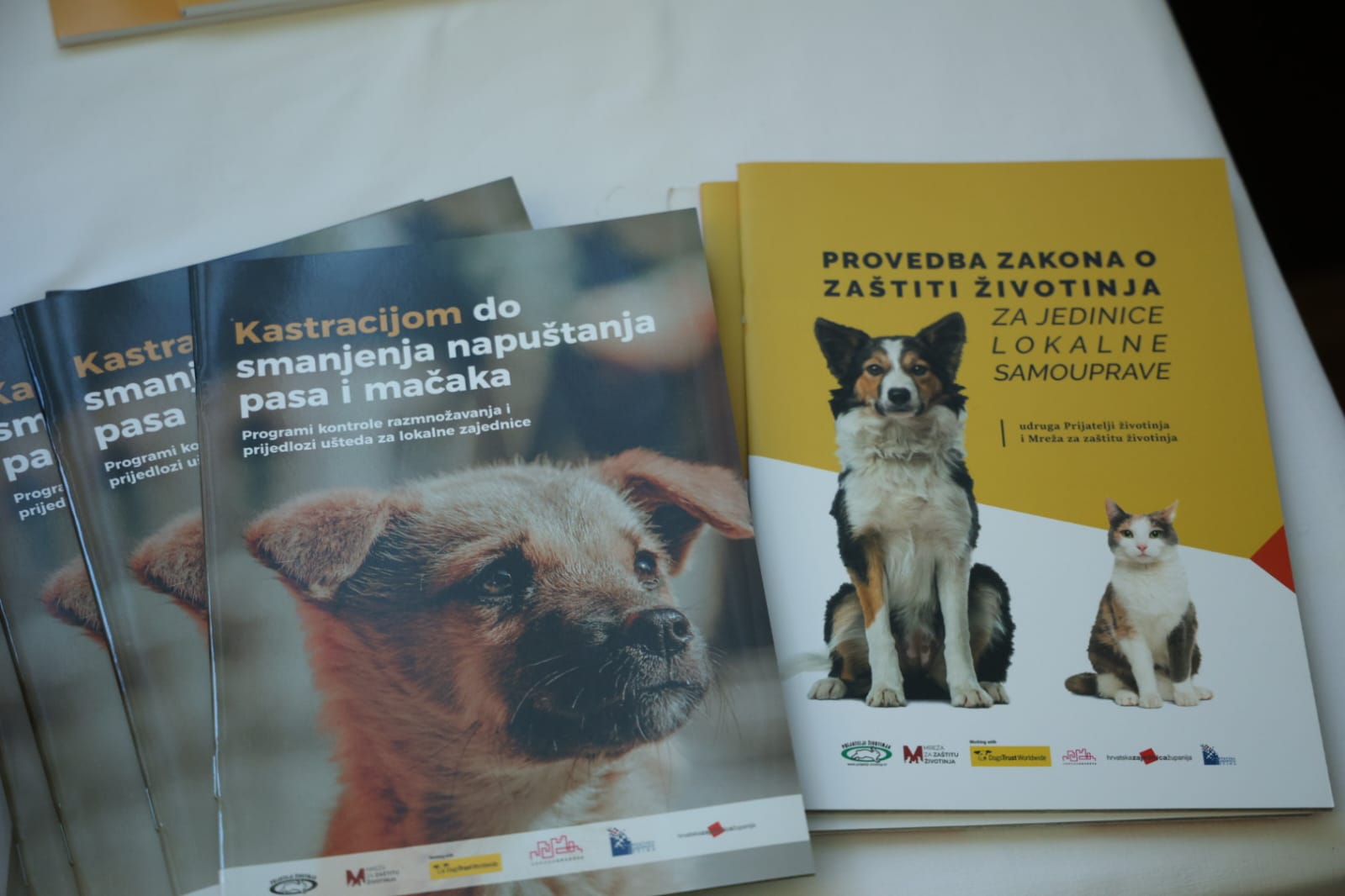 Konstituirana KOORA – Koordinacijska radna skupina za zaštitu životinja Zadarske županije