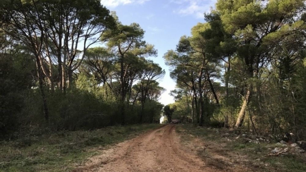 Uređenje šumskih staza, mjesta za odmor i igru unutar dijela Park šume Musapstan