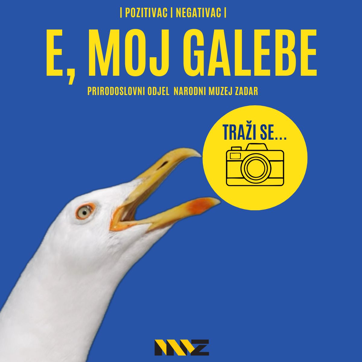 Foto natječaj "E, moj galebe" Narodnog muzeja Zadar